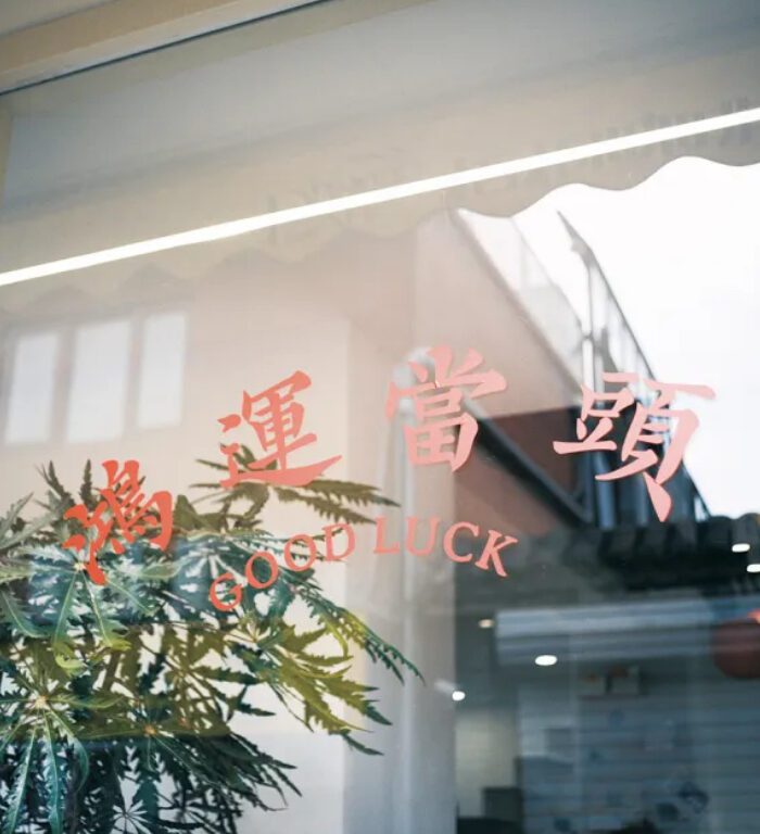 Bộ Preset Ảnh Film C200 SP3000 Phong Cách Retro Tương Thích JPG RAW (XMP/CUBE/ICC) 15 shopthietke com Shopthietke.com 189