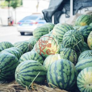 Bộ Preset Portra400 Chuẩn Màu Phim – 28 Tuỳ Chọn XMP ICC CUBE