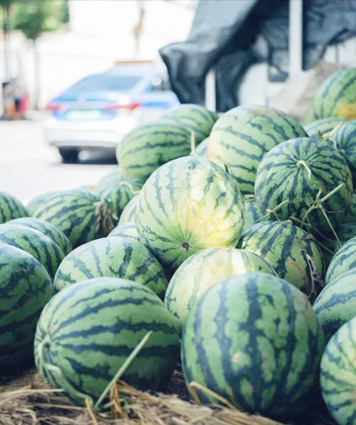 shopthietke com Shopthietke.com 198