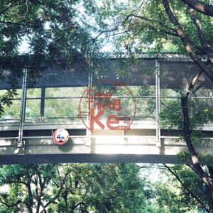 Bộ Preset Portra400 Chuẩn Màu Phim – 28 Tuỳ Chọn XMP ICC CUBE