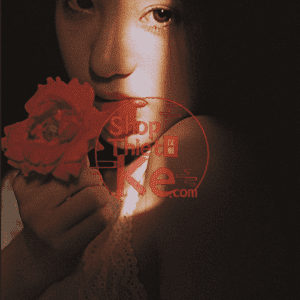 Bộ PSD & Preset Lộ Tây Cửu Dã - Phong Cách Vintage Nhật Bản Đẳng Cấp (XMP/PSD)