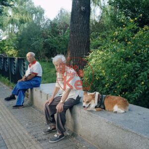 Bộ Preset Portra400 Chuẩn Màu Phim – 28 Tuỳ Chọn XMP ICC CUBE