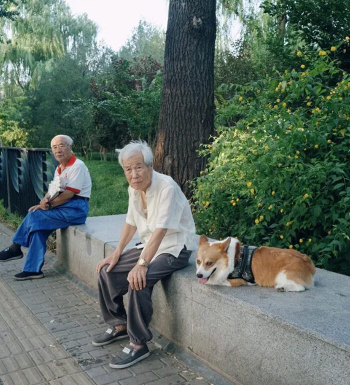 shopthietke com Shopthietke.com 200