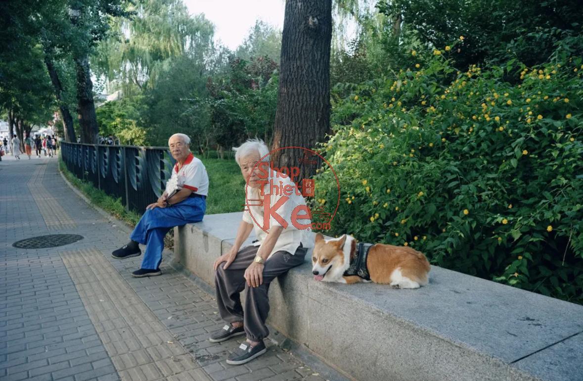 Bộ Preset Portra400 Chuẩn Màu Phim – 28 Tuỳ Chọn XMP ICC CUBE 4 shopthietke com Shopthietke.com 200
