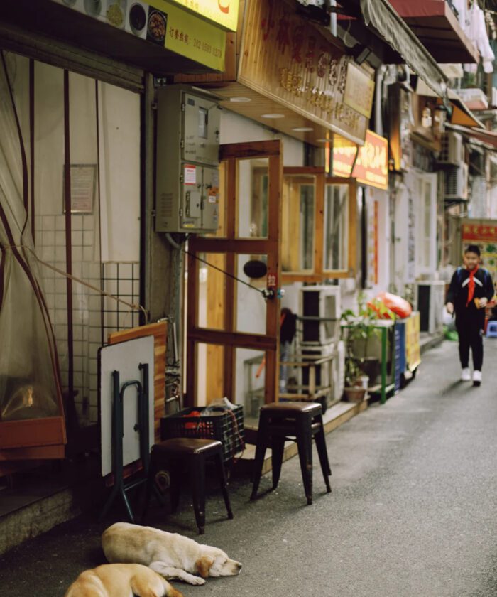 shopthietke com Shopthietke.com 204