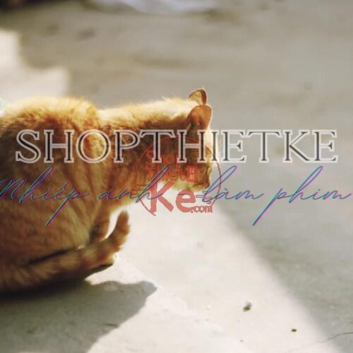 Preset Ultramax400 Tái Hiện Màu Phim Kodak – Tự Nhiên Và Trung Tính (XMP/CUBE)