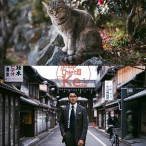 Preset USETSU by Takashi Yasui – Màu Nhật Bản Tối Giản, Điện Ảnh (XMP/DNG/CUBE)