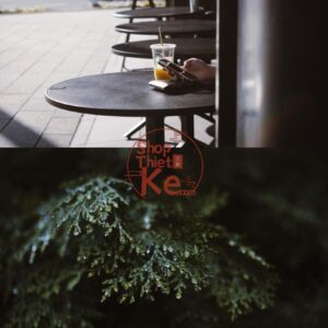 Preset USETSU by Takashi Yasui – Màu Nhật Bản Tối Giản, Điện Ảnh (XMP/DNG/CUBE)