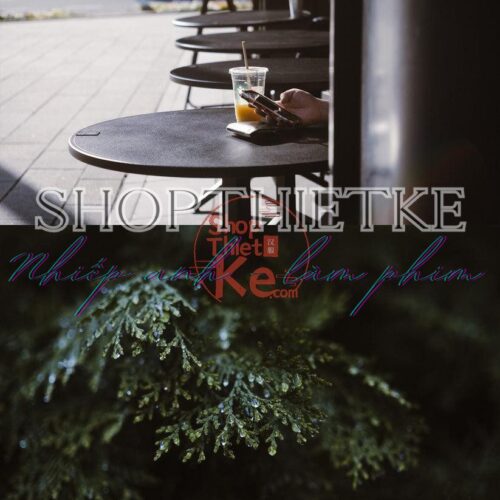 Preset USETSU by Takashi Yasui – Màu Nhật Bản Tối Giản, Điện Ảnh (XMP/DNG/CUBE)