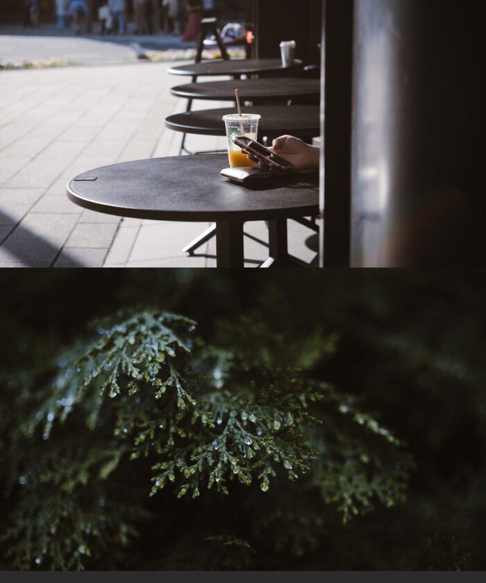 Preset USETSU by Takashi Yasui – Màu Nhật Bản Tối Giản, Điện Ảnh (XMP/DNG/CUBE)