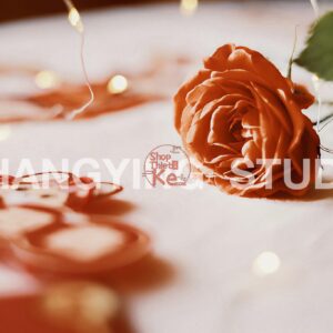 39 Preset Lightroom & LUT Tết Cổ Truyền, Tết Trung Thu Đỏ Rực (XMP/CUBE)