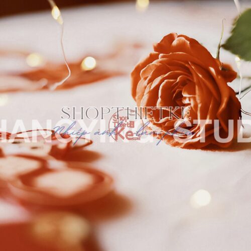 39 Preset Lightroom & LUT Tết Cổ Truyền, Tết Trung Thu Đỏ Rực (XMP/CUBE)