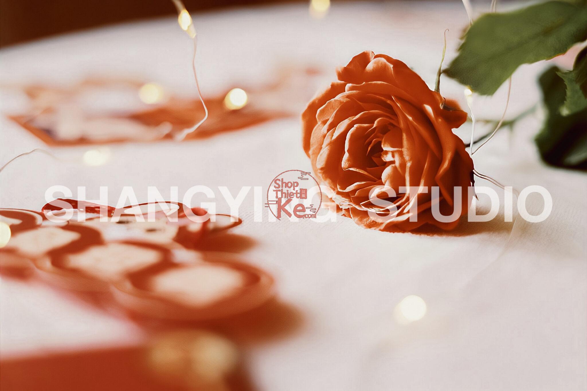 39 Preset Lightroom & LUT Tết Cổ Truyền, Tết Trung Thu Đỏ Rực (XMP/CUBE) 17 shopthietke com Shopthietke.com 261 scaled