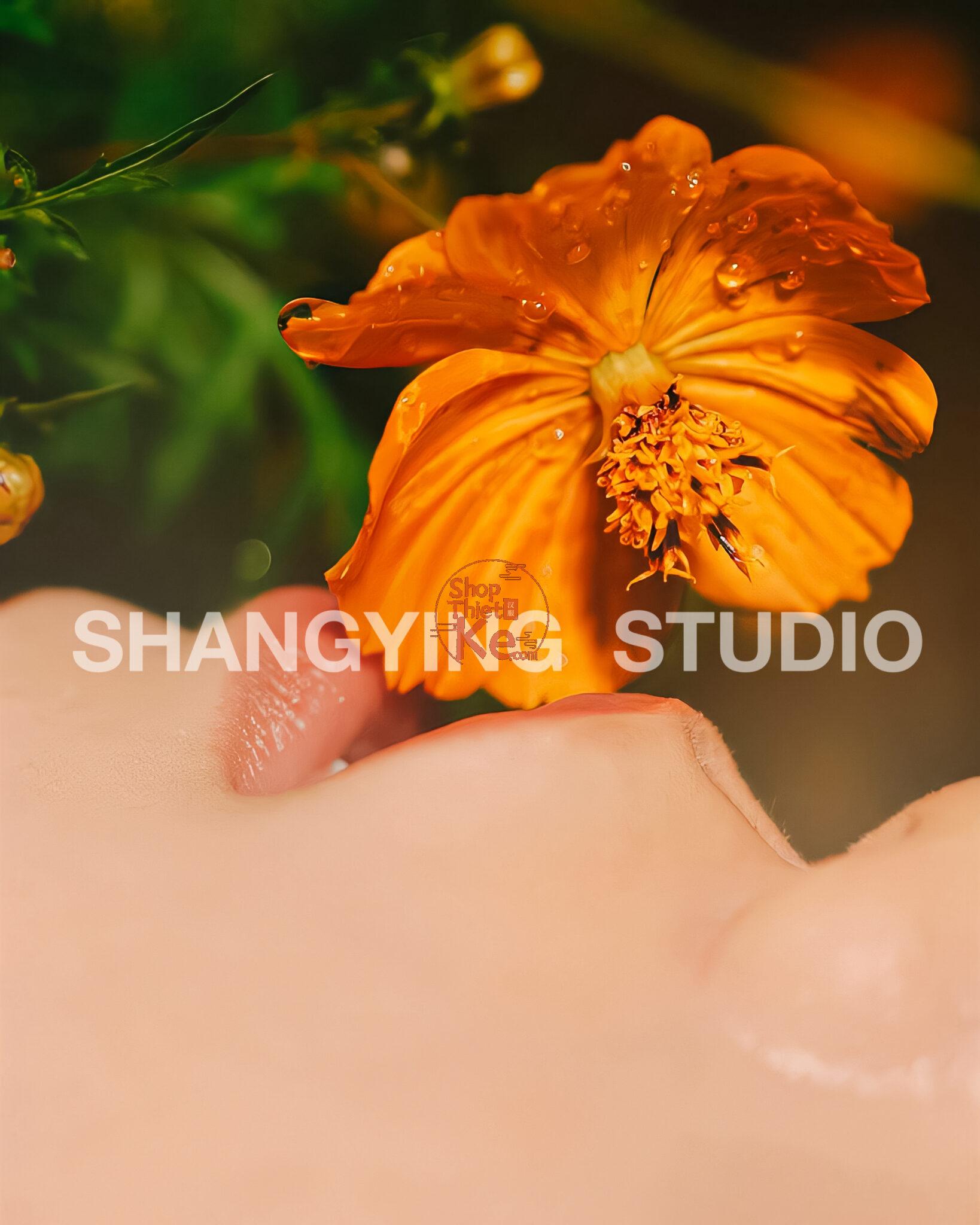 Bộ 29 Preset & LUT Phim Kodak Gold 200 Tông Ấm Cho Chân Dung & Street Style (XMP/DNG/CUBE) 14 shopthietke com Shopthietke.com 376 scaled