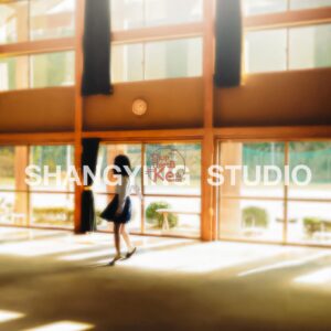 Bộ 29 Preset & LUT Phim Kodak Gold 200 Tông Ấm Cho Chân Dung & Street Style (XMP/DNG/CUBE)