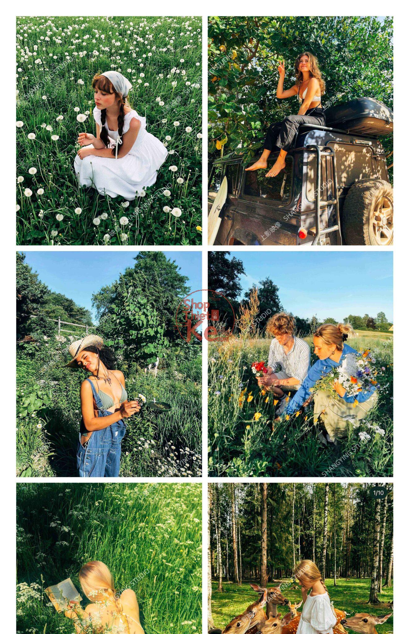 shopthietke com Shopthietke.com 391 scaled