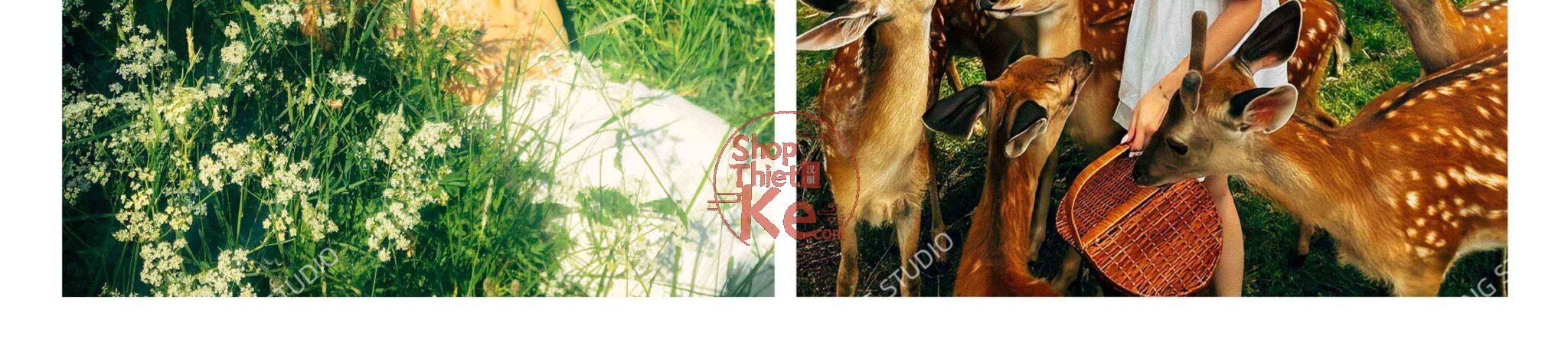 shopthietke com Shopthietke.com 392 scaled