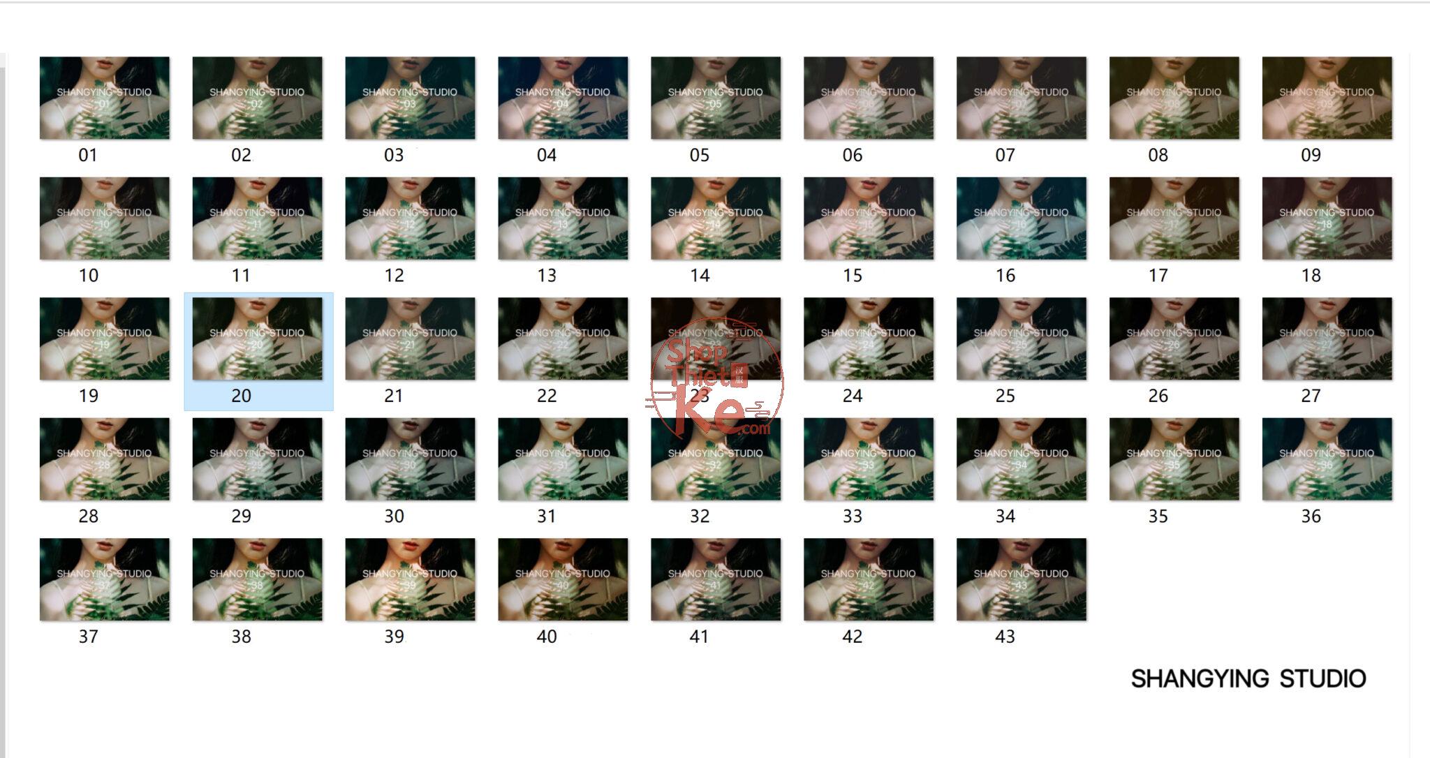 shopthietke com Shopthietke.com 401 scaled