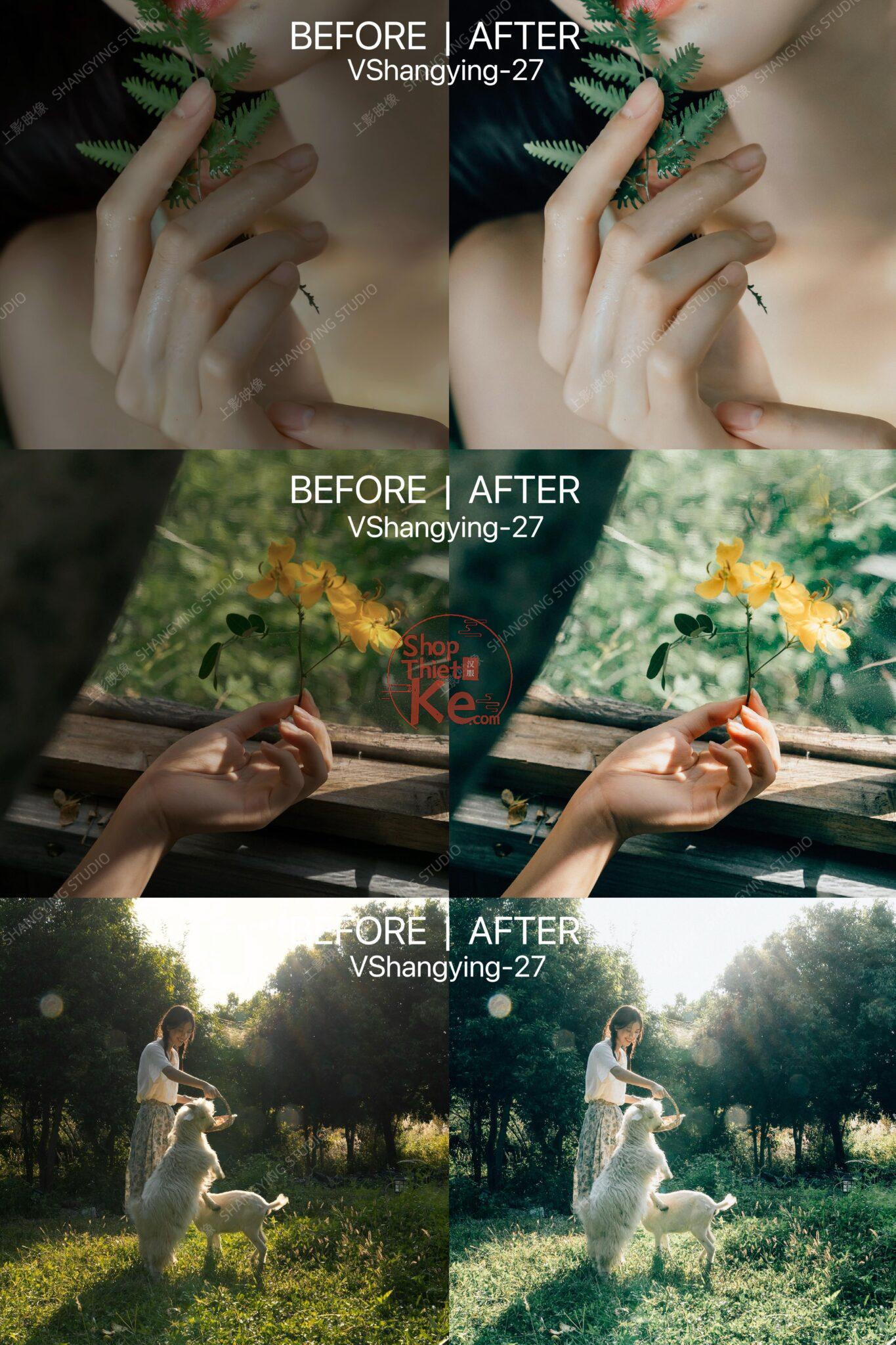 shopthietke com Shopthietke.com 402 scaled