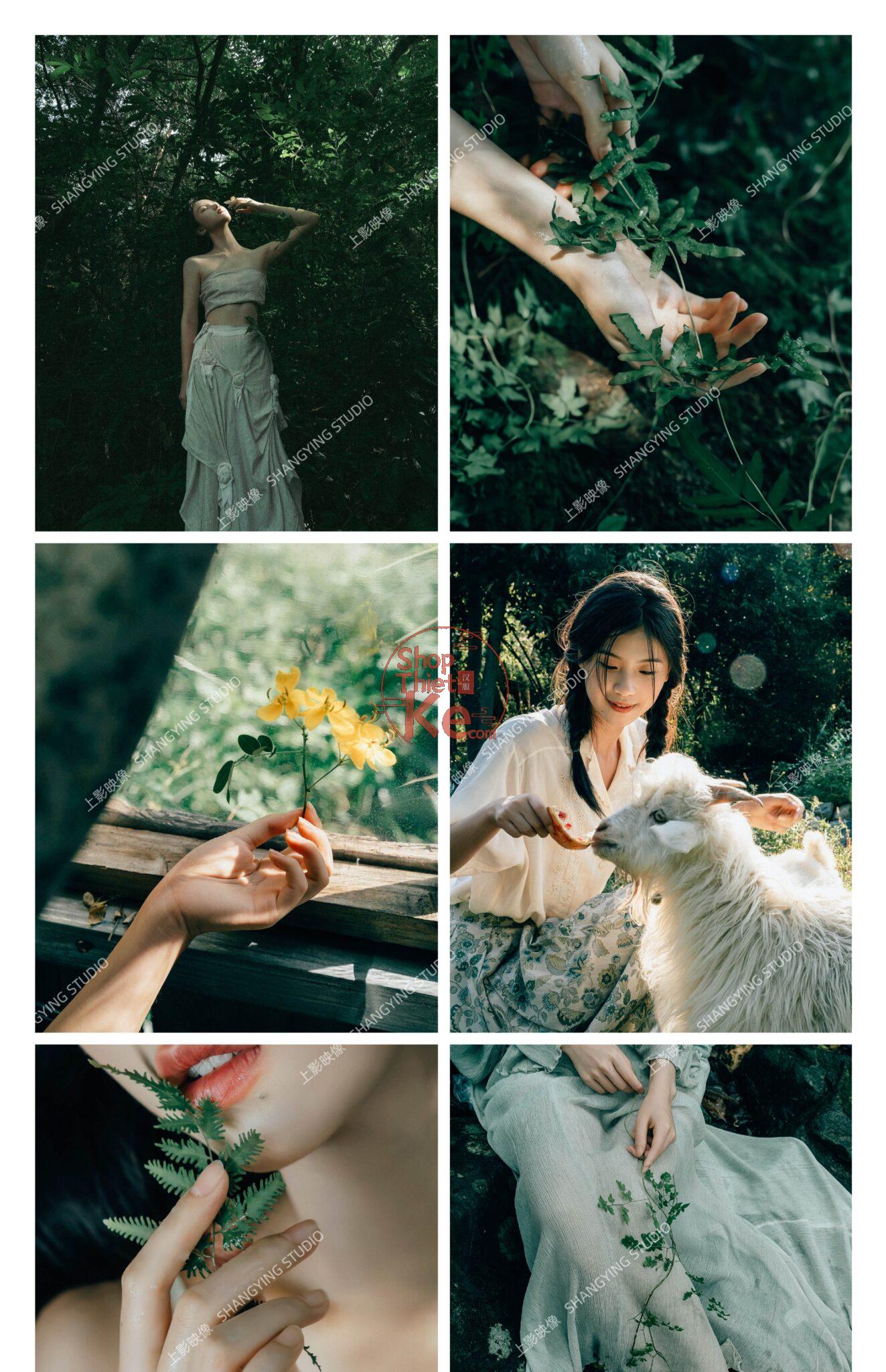 shopthietke com Shopthietke.com 412 scaled