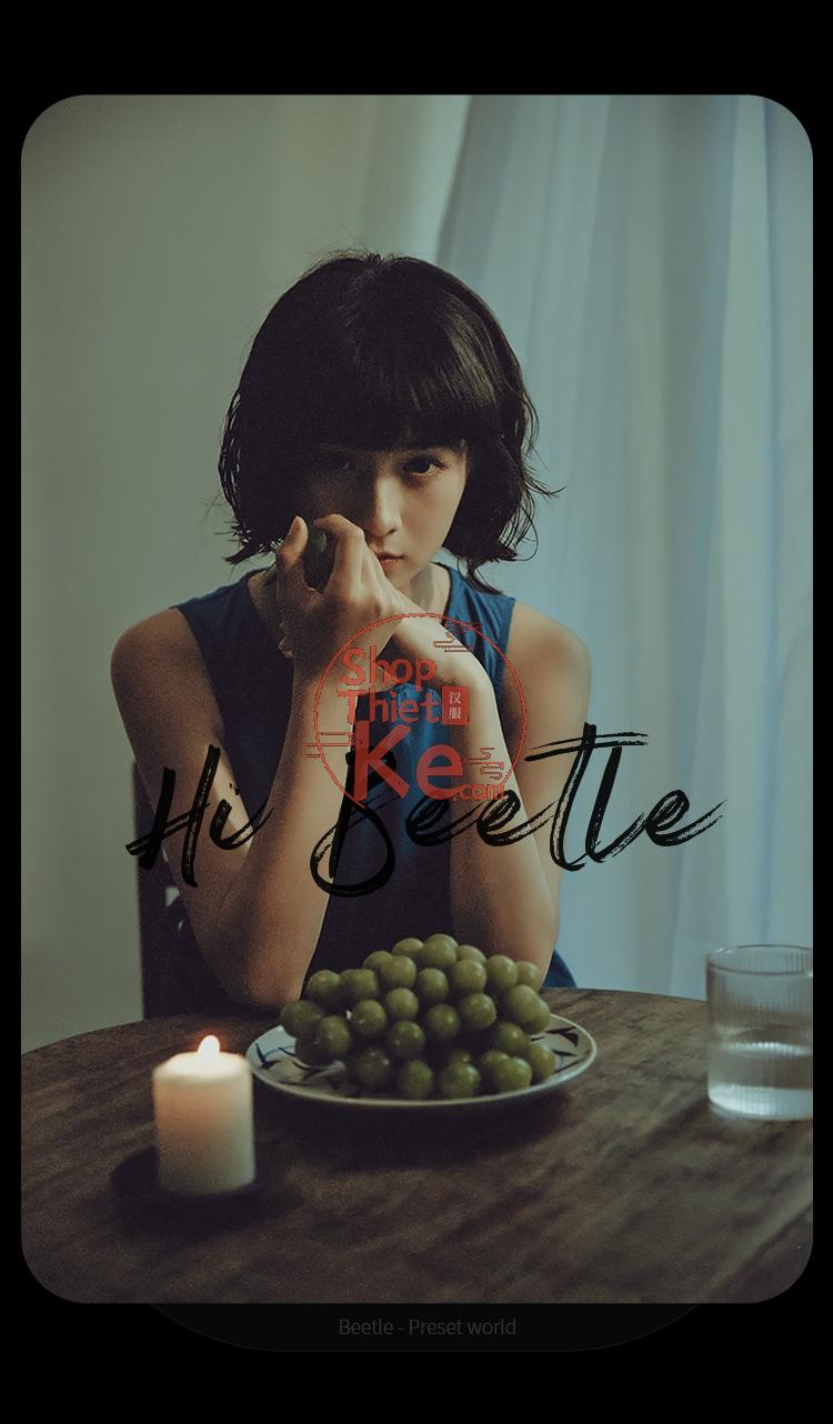 Preset Lightroom Cinematic Vintage – 50 Tông Retro & Mood U Ám (XMP/CUBE) 10 shopthietke com Shopthietke.com 453