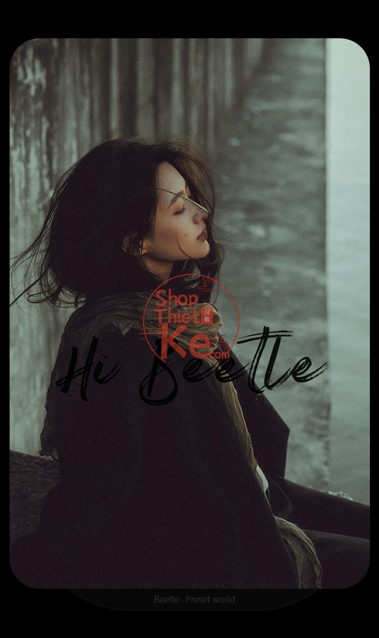 Preset Lightroom Cinematic Vintage – 50 Tông Retro & Mood U Ám (XMP/CUBE) 8 shopthietke com Shopthietke.com 457