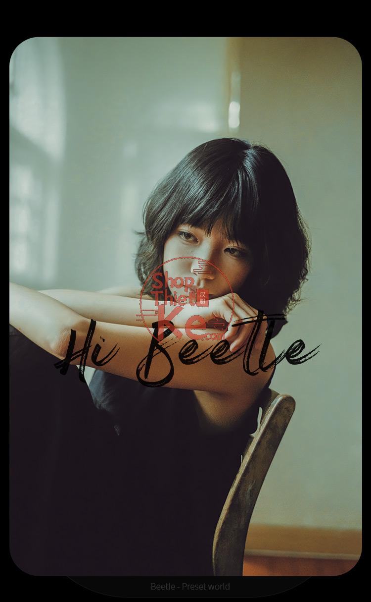 Preset Lightroom Cinematic Vintage – 50 Tông Retro & Mood U Ám (XMP/CUBE) 7 shopthietke com Shopthietke.com 458