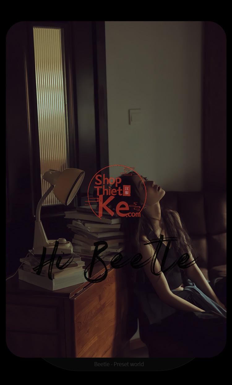 Preset Lightroom Cinematic Vintage – 50 Tông Retro & Mood U Ám (XMP/CUBE) 4 shopthietke com Shopthietke.com 461