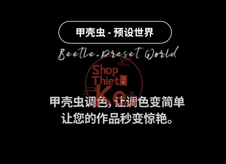 Preset Lightroom Cinematic Vintage – 50 Tông Retro & Mood U Ám (XMP/CUBE) 35 shopthietke com Shopthietke.com 462