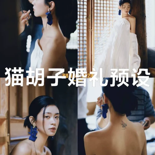 Preset Cưới Mèo Râu Hot Trên Xiaohongshu Bản Chính Hãng (XMP/CUBE)