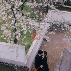 Bộ PSD & Preset Lộ Tây Cửu Dã - Phong Cách Vintage Nhật Bản Đẳng Cấp (XMP/PSD)