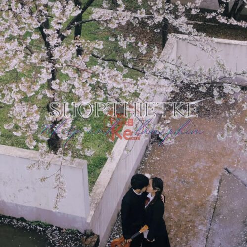 Bộ PSD & Preset Lộ Tây Cửu Dã - Phong Cách Vintage Nhật Bản Đẳng Cấp (XMP/PSD)