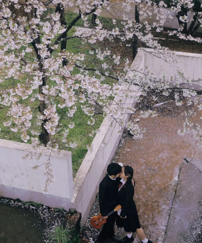 Bộ PSD & Preset Lộ Tây Cửu Dã - Phong Cách Vintage Nhật Bản Đẳng Cấp (XMP/PSD)