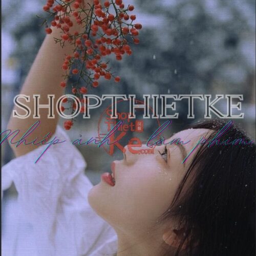 Bộ PSD & Preset Lộ Tây Cửu Dã - Phong Cách Vintage Nhật Bản Đẳng Cấp (XMP/PSD)