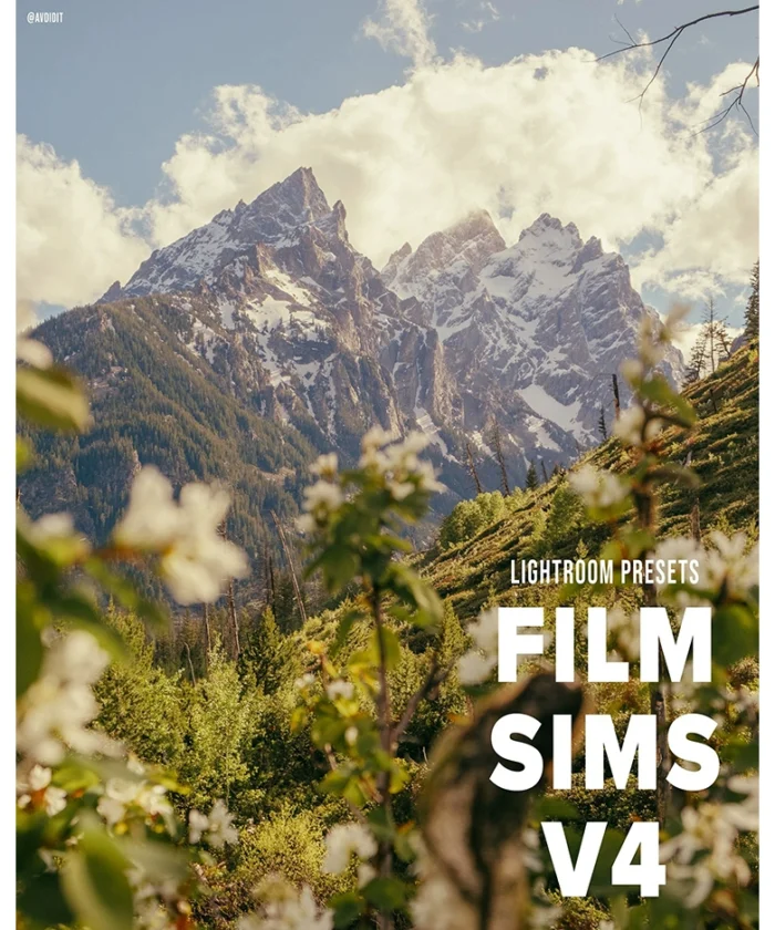 Bộ 3 Preset Lightroom AV Film Sims 04 Giả Lập Màu Phim XMP