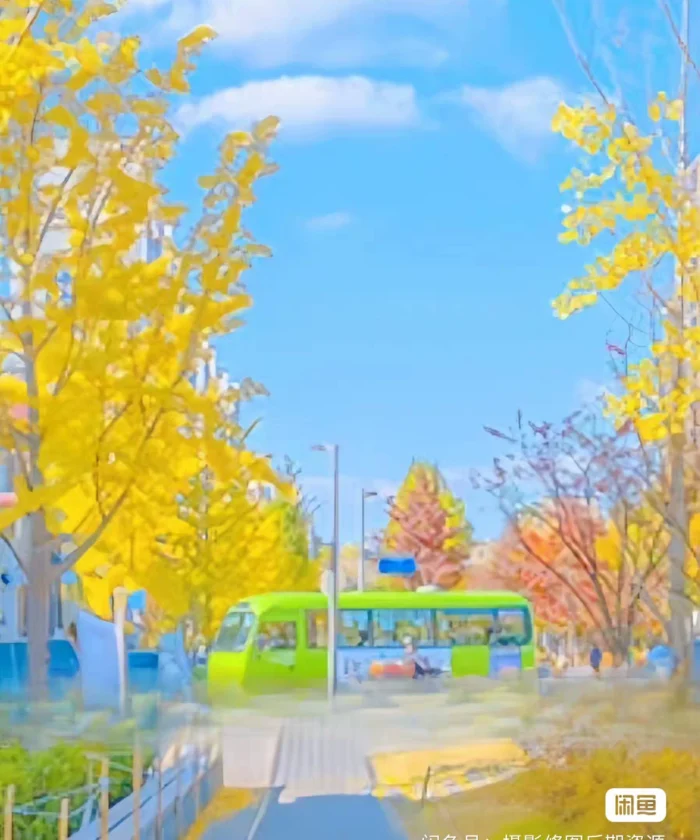 Preset Lightroom Nhật Bản Manga – 30 Bộ Lọc Anime Streetstyle (XMP/CUBE)