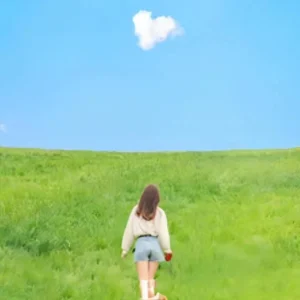 Preset Lightroom Nhật Bản Manga – 30 Bộ Lọc Anime Streetstyle (XMP/CUBE)