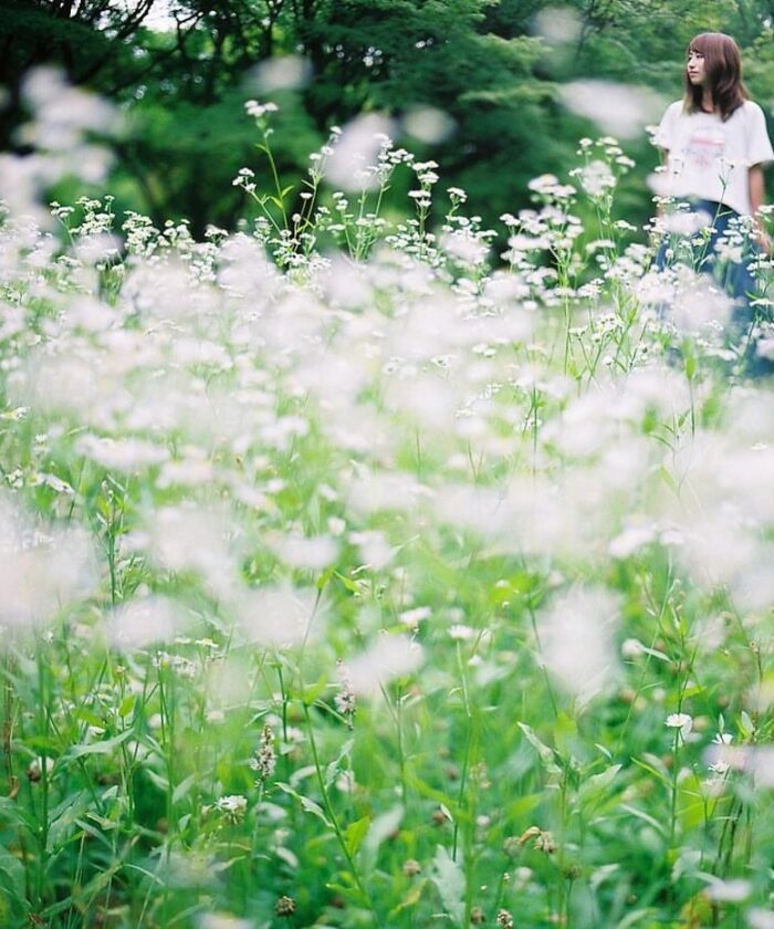 shopthietke com Shopthietke.com 88