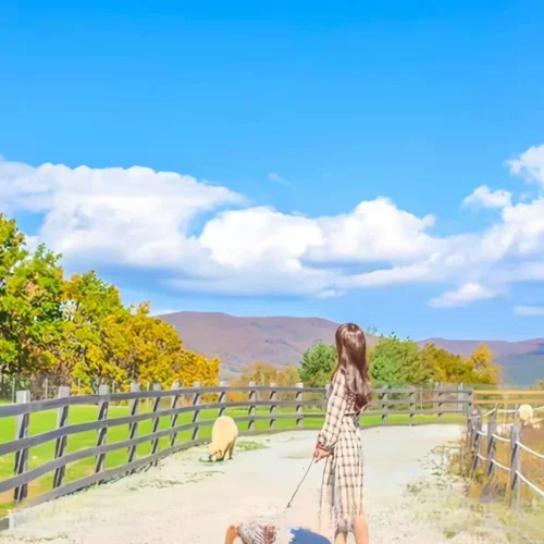 Preset Lightroom Nhật Bản Manga – 30 Bộ Lọc Anime Streetstyle (XMP/CUBE)