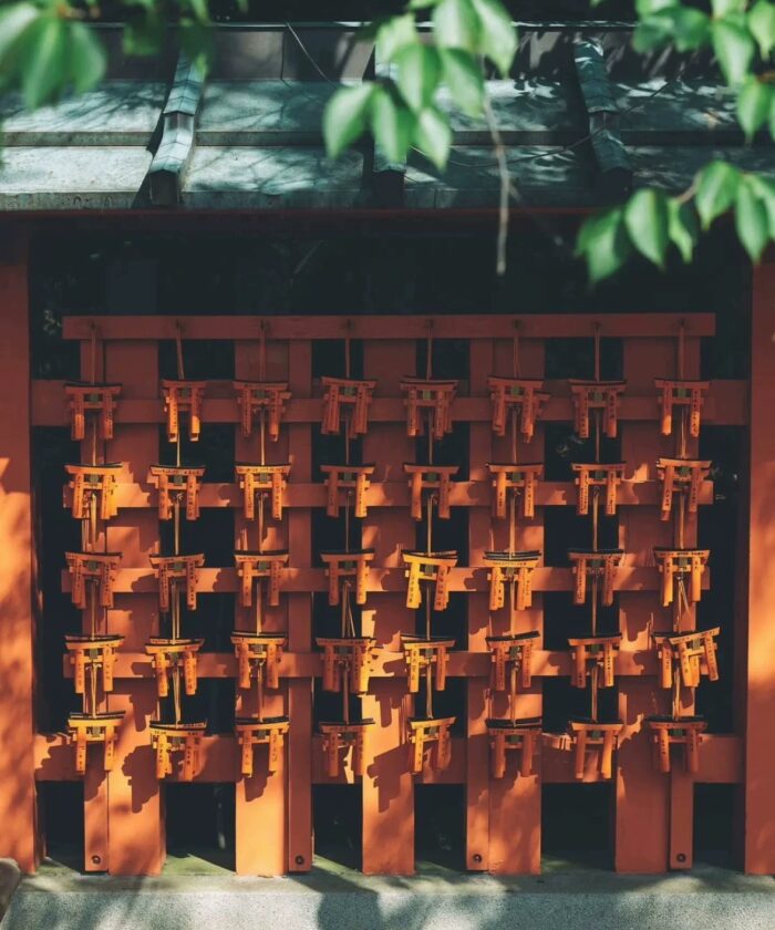 Preset Zecun Yangbing Film Nhật Bản XMP DNG LR Mobile Desktop 18 shopthietke com Shopthietke.com 90
