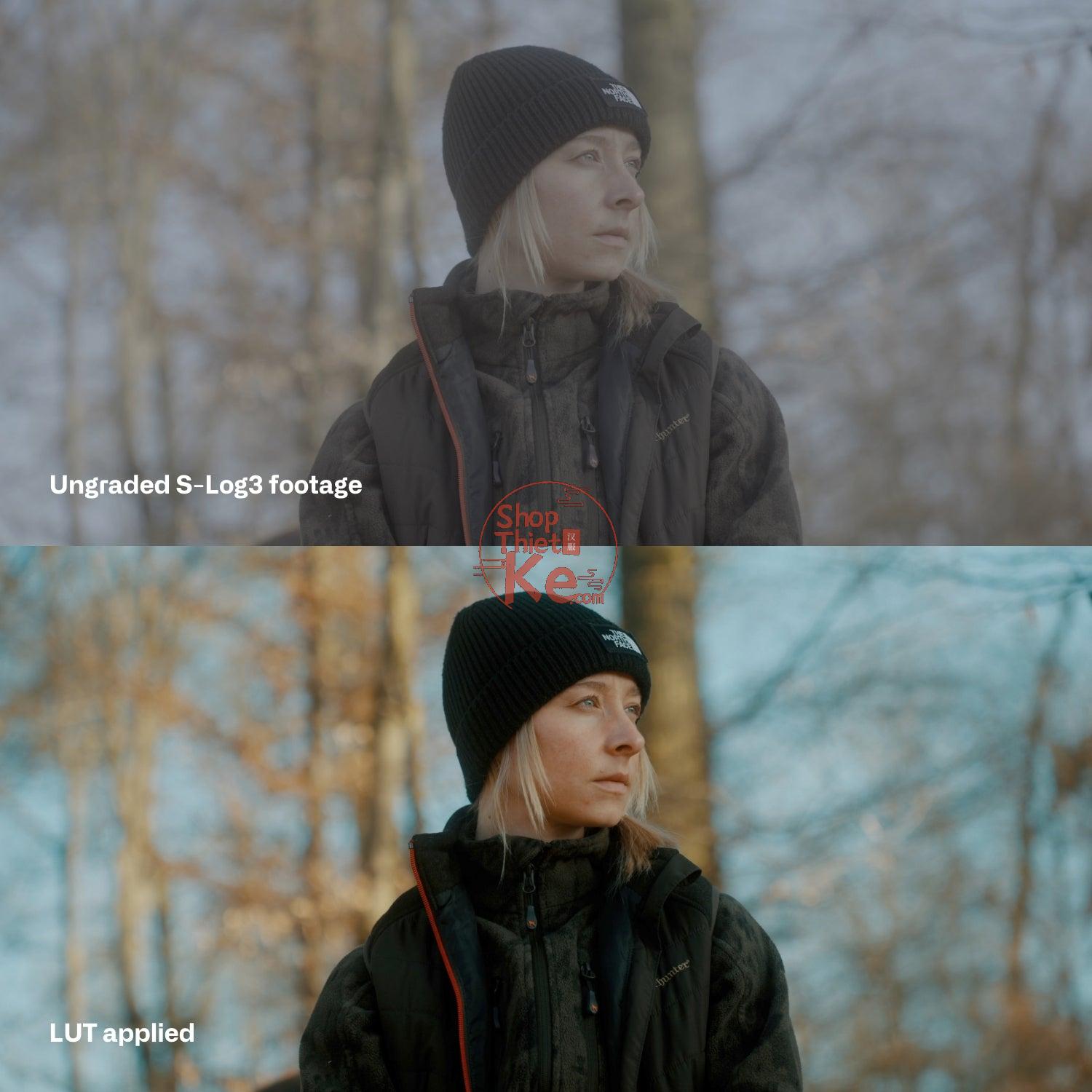 shopthietke com Sony SLog3 Cinematic LUTs 5