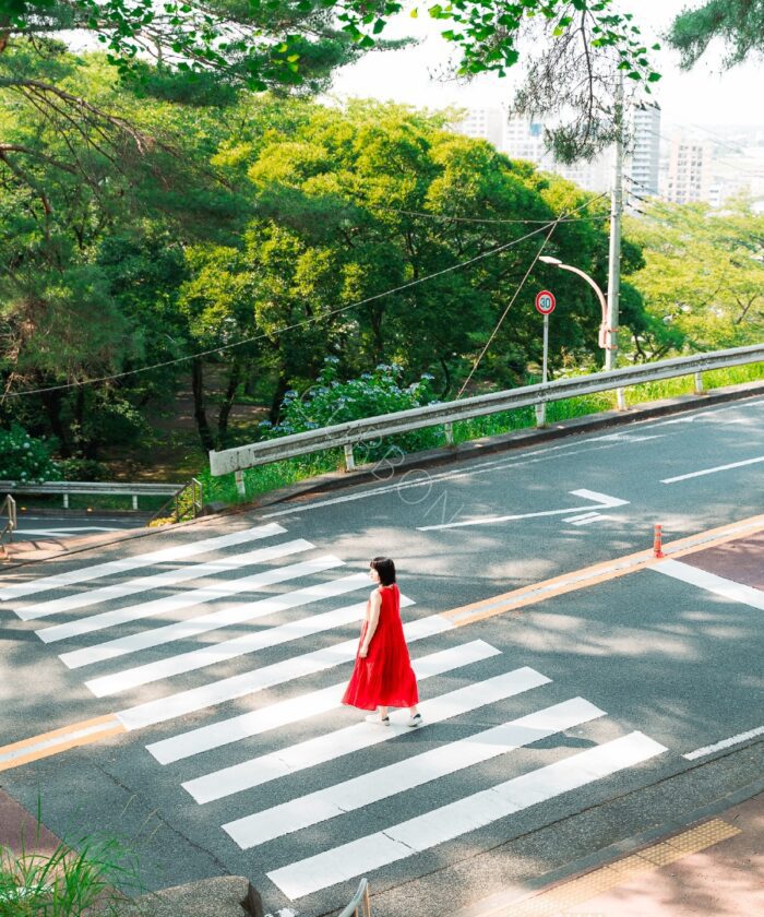 Preset Lightroom Phong Cảnh Forest Tone – Xanh Rừng & Autumn Mood (XMP/DNG)