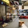 Preset Ultramax400 Tái Hiện Màu Phim Kodak – Tự Nhiên Và Trung Tính (XMP/CUBE) 1 shopthietke com anh 25