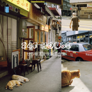 Preset Ultramax400 Tái Hiện Màu Phim Kodak – Tự Nhiên Và Trung Tính (XMP/CUBE)