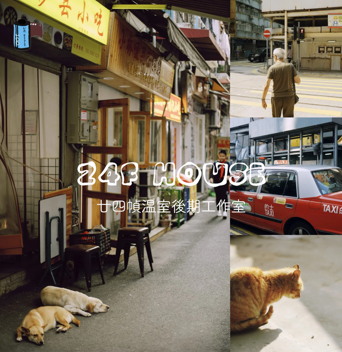 Preset Ultramax400 Tái Hiện Màu Phim Kodak – Tự Nhiên Và Trung Tính (XMP/CUBE)