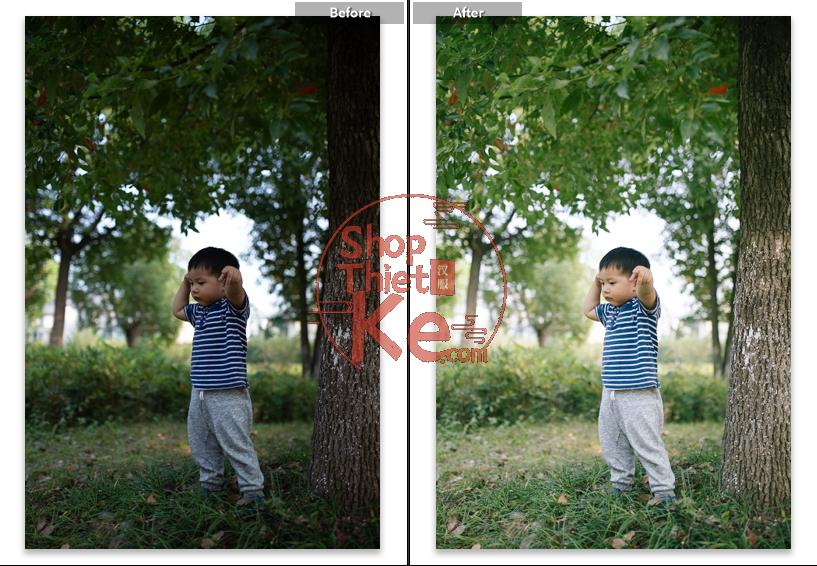 shopthietke com anh 4