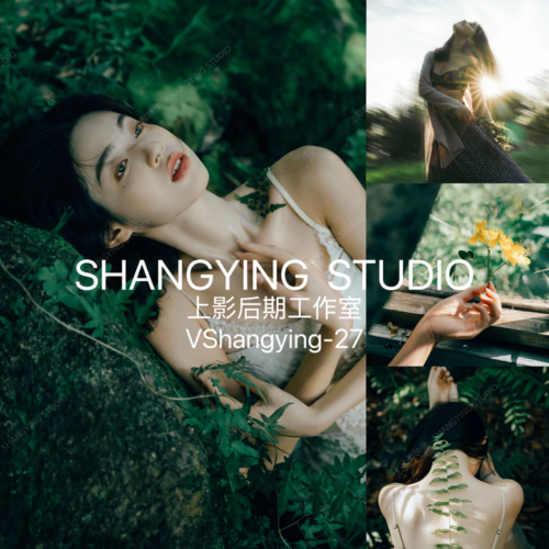 Preset Lightroom Forest Style – Bộ 43 Mẫu Film Tinh Tế Cổ Điển (XMP/DNG/CUBE)