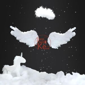 10 Mẫu Background Cánh Thiên Thần Nhỏ Ghép Ảnh Baby (PSD)