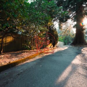 Preset Lightroom Phong Cảnh Forest Tone – Xanh Rừng & Autumn Mood (XMP/DNG) 13 shopthietke com 都市建筑城市RAW原片 3