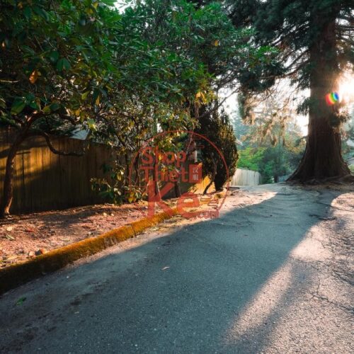 Preset Lightroom Phong Cảnh Forest Tone – Xanh Rừng & Autumn Mood (XMP/DNG)